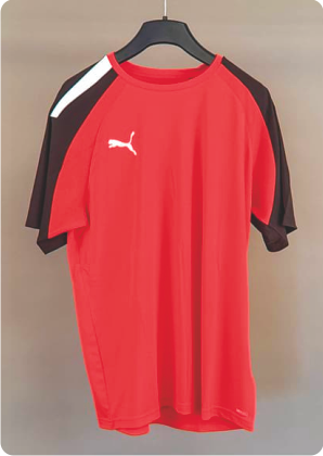 (Bild für) Trikot TeamPACER